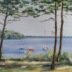 Lac de Lacanau