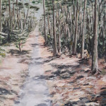 Lacanau